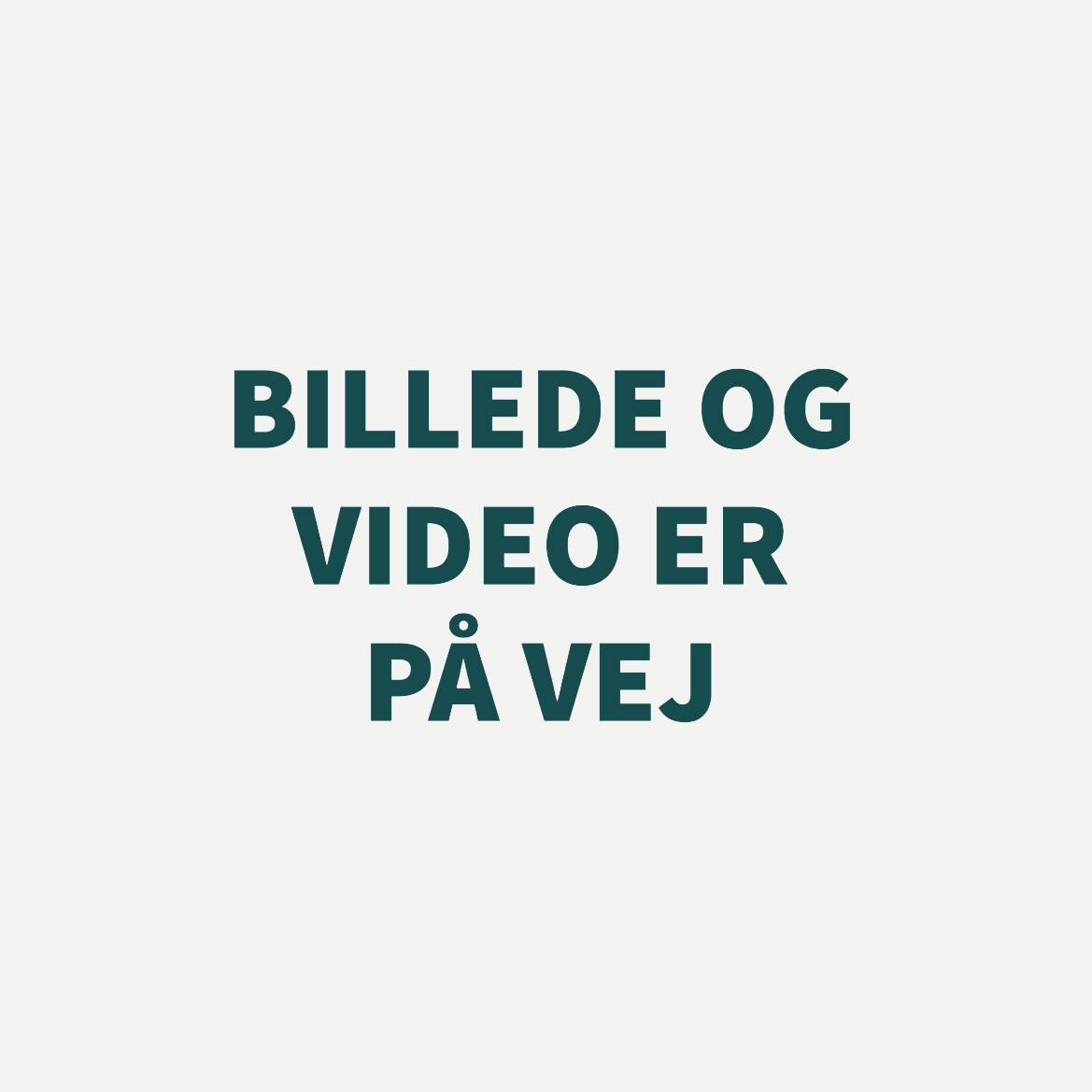 Sidsel Birk - Special Minds